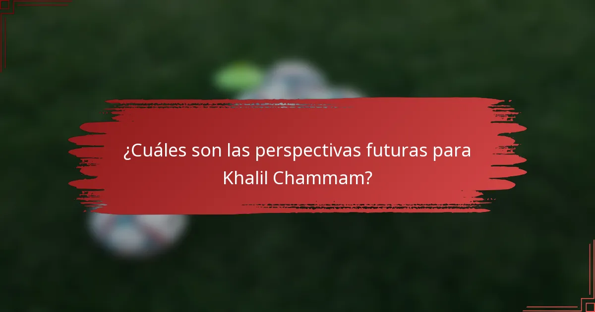 ¿Cuáles son las perspectivas futuras para Khalil Chammam?