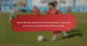 Yassine Meriah: Selecciones internacionales, Actuaciones en torneos, Contribuciones internacionales
